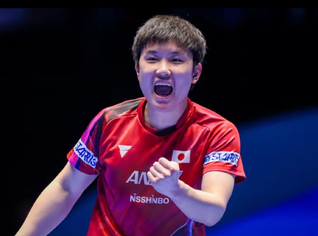 不仅展示了 不仅展示了