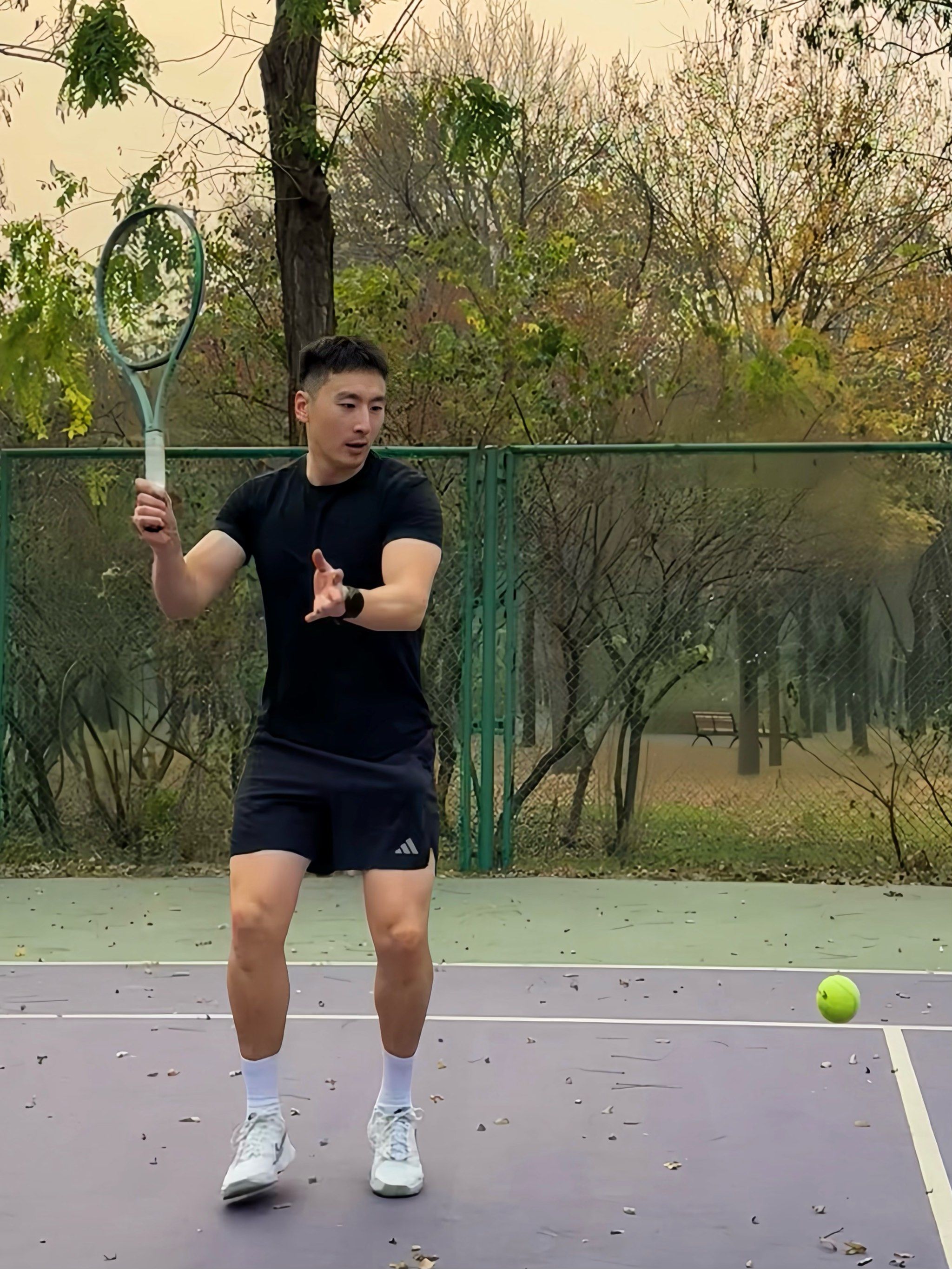 不仅限制了 不仅限制了