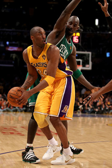 的就地组织 的就地组织